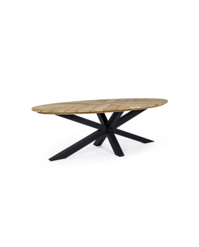 MESA PALMDALE OV 240X110 CARBON RT02