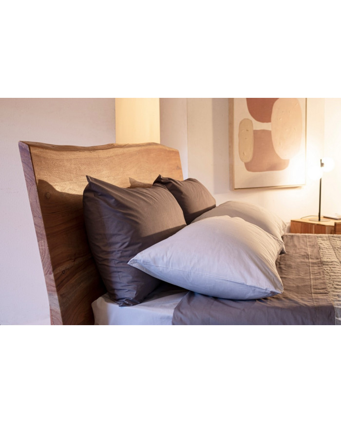 CAMA 2P ARON