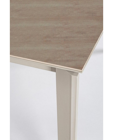 MESA EXT BRIVA GRIS-VISÓN 160-220X90