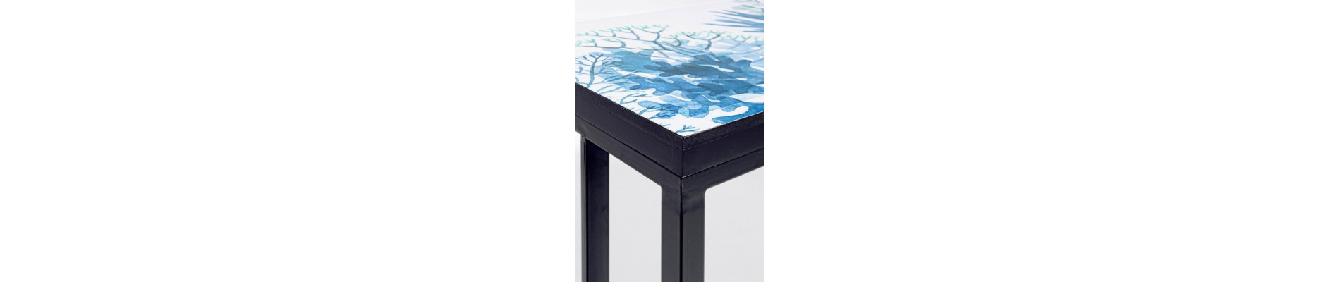 SET2 MESITA AUX REEF K03