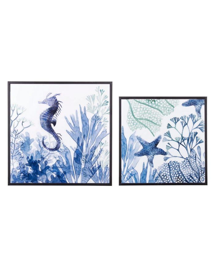 SET2 MESITA AUX REEF K04