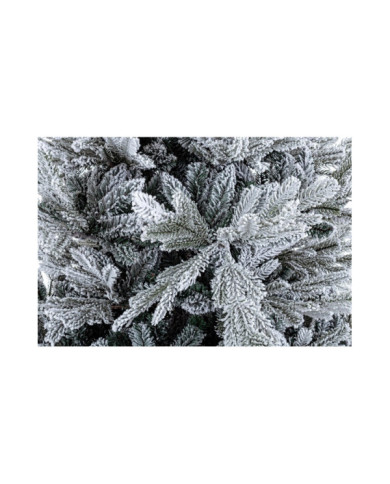 ALBERO BERNINA INNEVATO H240-4117RAMI