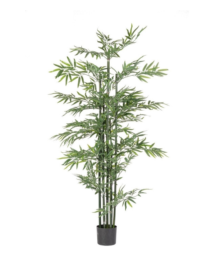PLANTA BAMBÚ C-MACETERO H190