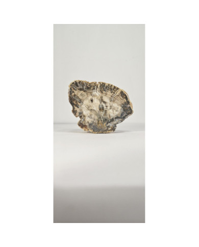 XILOPALO NATURAL (1,150 kg)