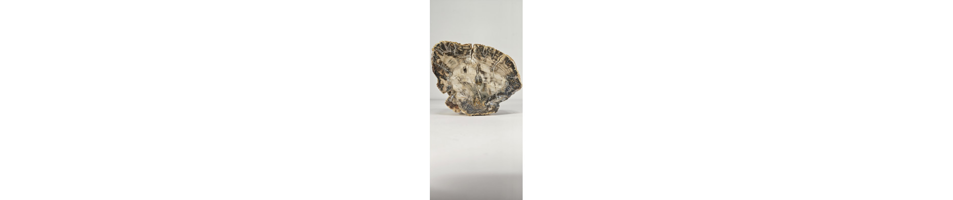 XILOPALO NATURAL (1,150 kg)