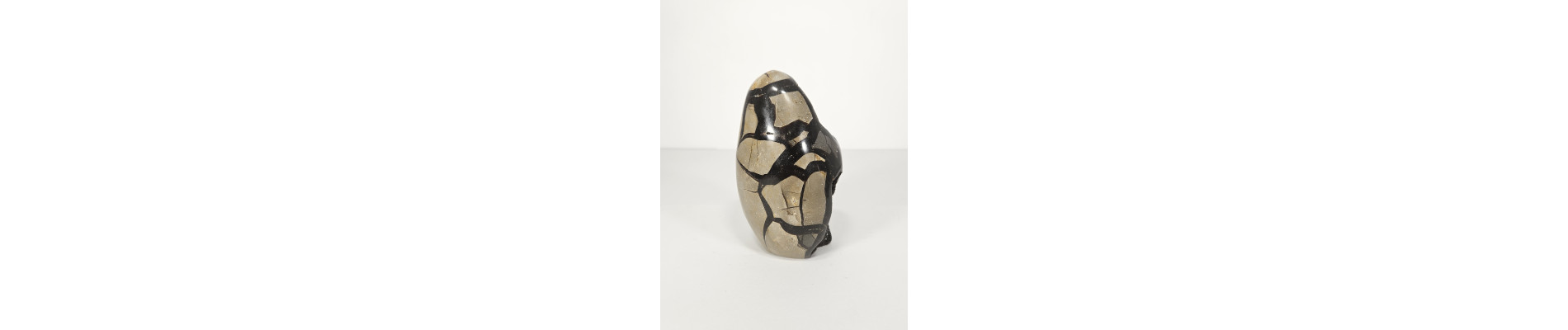 HUEVO DE SEPTARIA (1,4 kg)