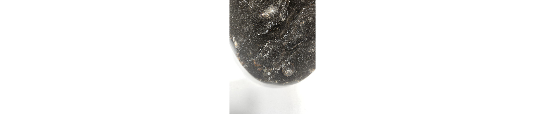 HUEVO DE SEPTARIA (2,5 kg)