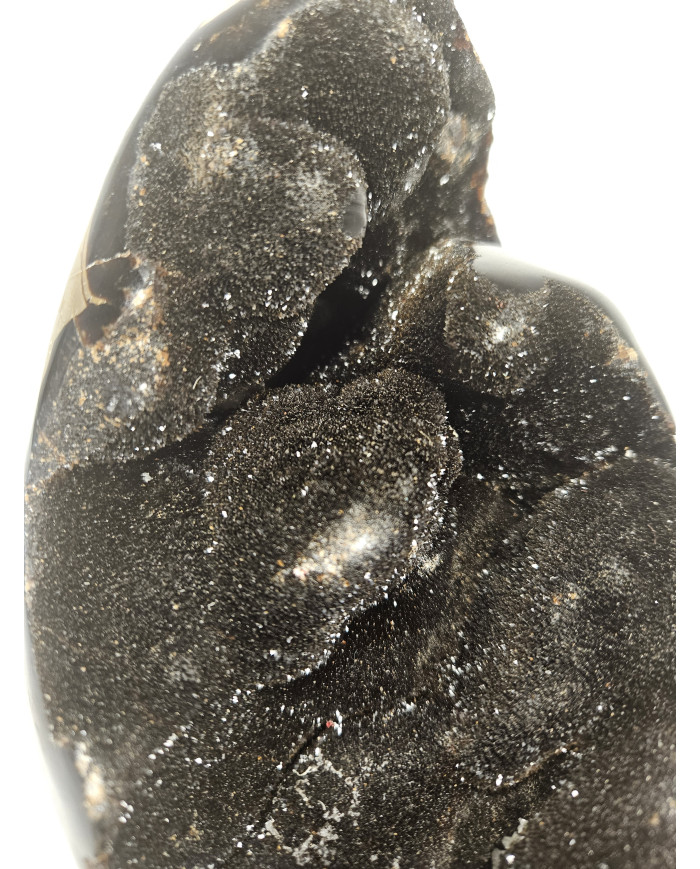HUEVO DE SEPTARIA (2,5 kg)