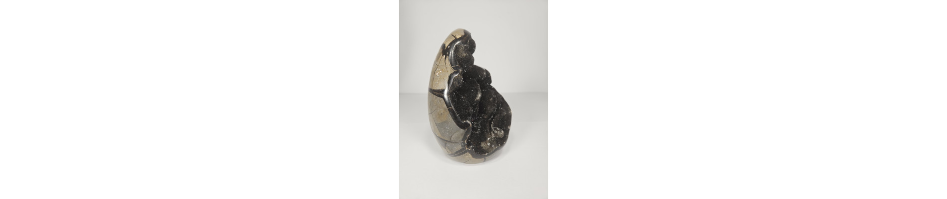 HUEVO DE SEPTARIA (2,5 kg)