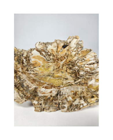 XILOPALO NATURAL (574 gr)