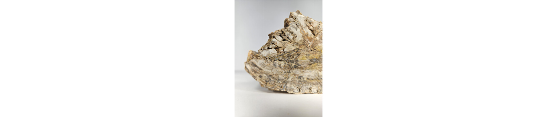 XILOPALO NATURAL (574 gr)