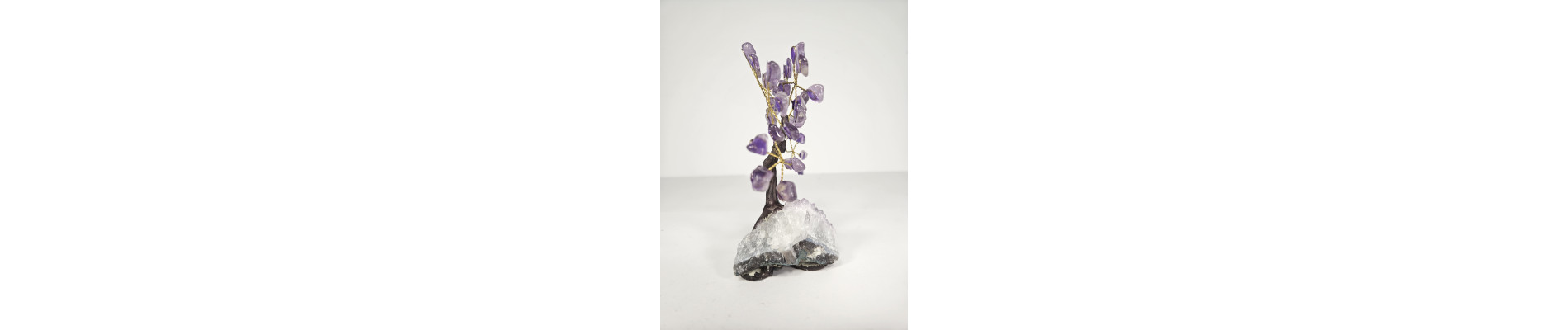 BONSAI DE AMATISTA MINI CON BASE DE DRUSA AMATISTA
