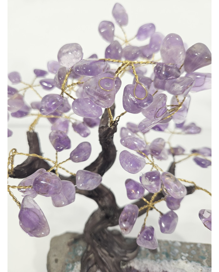 BONSAI DE AMATISTA PEQUEÑO CON BASE DE DRUSA AMATISTA