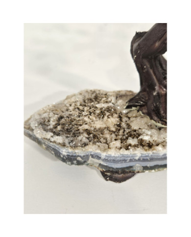 BONSAI DE AMATISTA MINI CON BASE DE DRUSA AMATISTA
