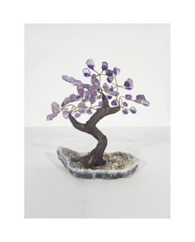 BONSAI DE AMATISTA MINI CON BASE DE DRUSA AMATISTA