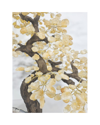 BONSAI DE CITRINO GRANDE CON BASE DE DRUSA AMATISTA