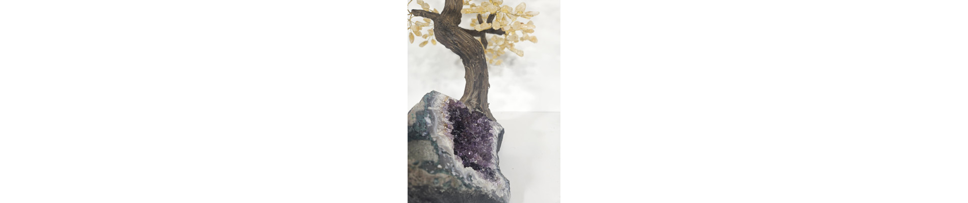 BONSAI DE CITRINO GRANDE CON BASE DE DRUSA AMATISTA