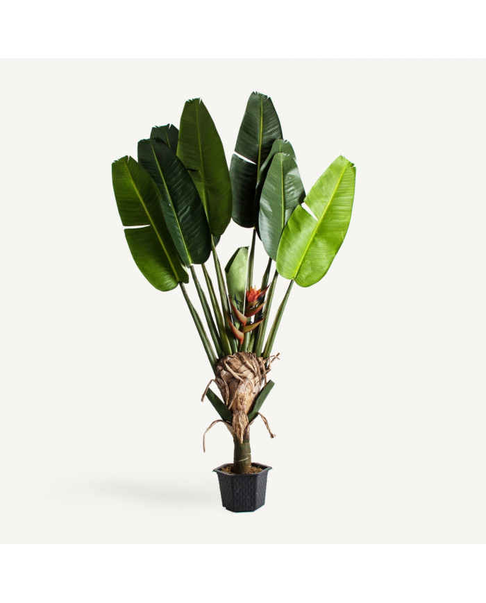 PLANTA POLIESTER PP 60X35X190 AVE DEL PARAÍSO