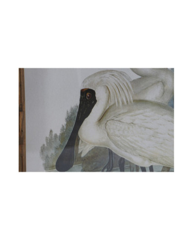 CUADRO CRISTAL BAMBU 45X3X60 AVE ENMARCADO 4 SURT.