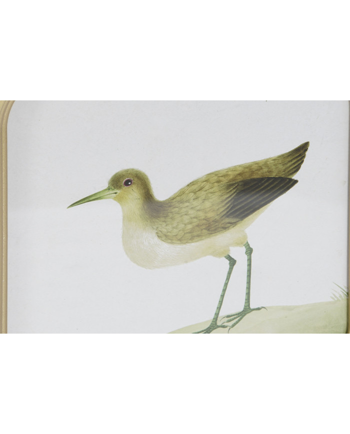 CUADRO CRISTAL MDF 30X2X30 AVES ENMARCADO 6 SURT.
