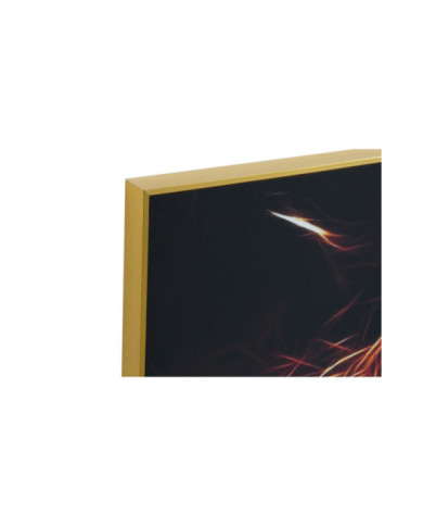CUADRO ALUMINIO MDF 80X3X80 TIGRE 2 SURT.
