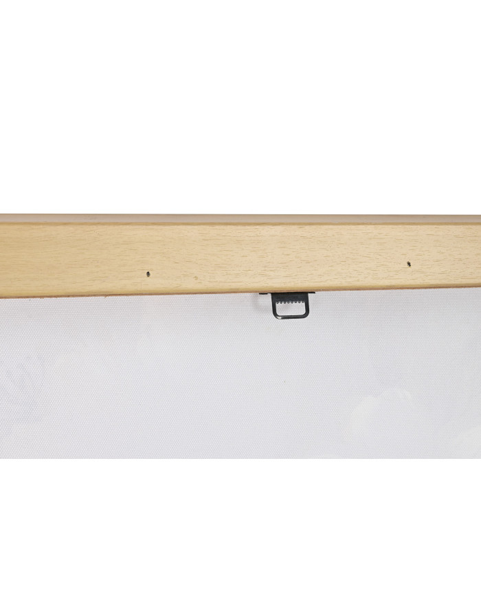 CUADRO LIENZO PS 60X3,5X60 FLORES 2 SURT.