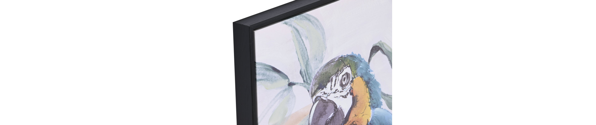CUADRO LIENZO PS 50X3,5X70 PAPAGAYO 2 SURT.