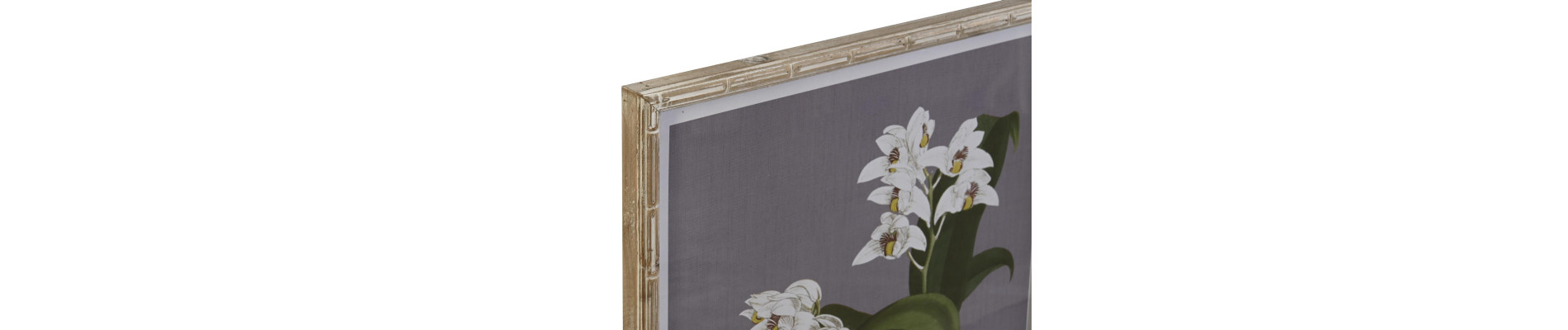 CUADRO CRISTAL ABETO 50X2,8X60 FLORES 6 SURT.