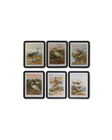 CUADRO CRISTAL MDF 40X1,8X50 PAJAROS 6 SURT.