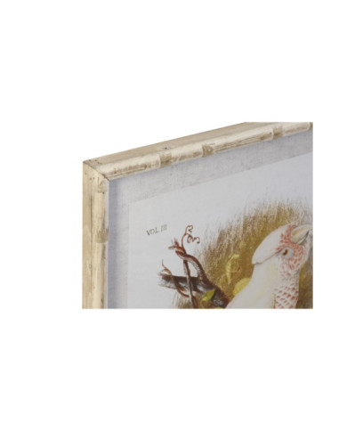 CUADRO CRISTAL BAMBU 50X2,8X65 CACATUA 4 SURT.