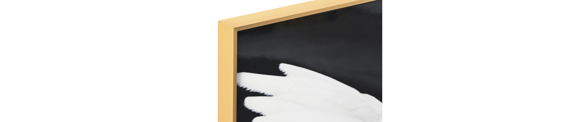 CUADRO ALUMINIO MDF 60X3X80 MUJER PLUMAS 2 SURT.