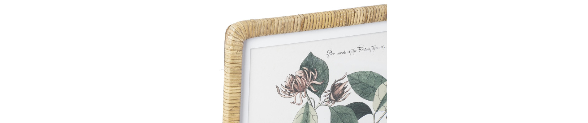CUADRO CRISTAL MDF 50X2,5X65 BOTANICO 4 SURT.