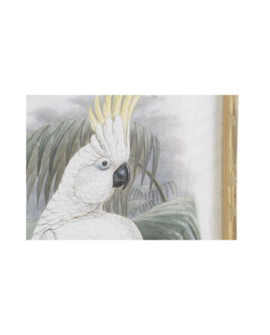 CUADRO CRISTAL BAMBU 50X2,8X70 CACATUA 2 SURT.
