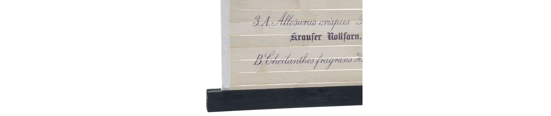 LIENZO MADERA 60X2X90 BOTANICO 4 SURT.