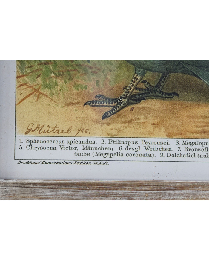 CUADRO MADERA LIENZO 45X2X65 PAJAROS 4 SURT.