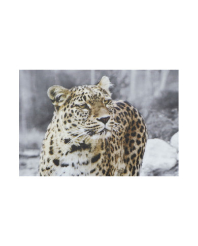 CUADRO LIENZO MDF 50X1,8X70 LEOPARDO 4 SURT.