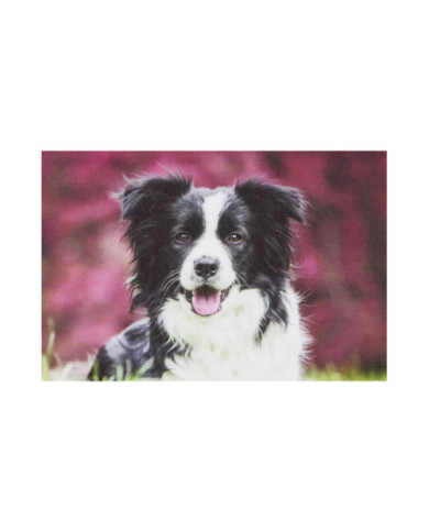 CUADRO LIENZO 40X1,8X30 CUADRO LIENZO PERRITOS 4 S