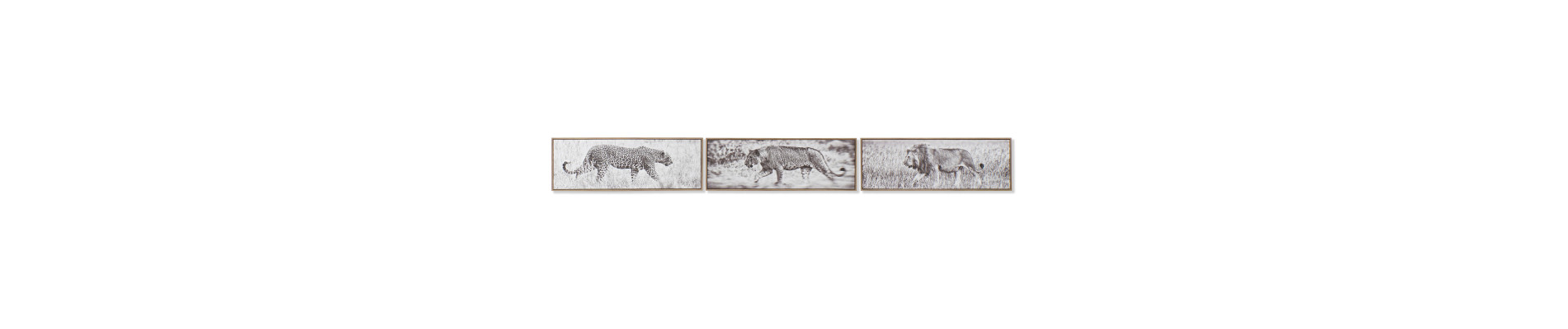 CUADRO CRISTAL MDF 55X2X70 CARA ABSTRACTO 2 SURT.