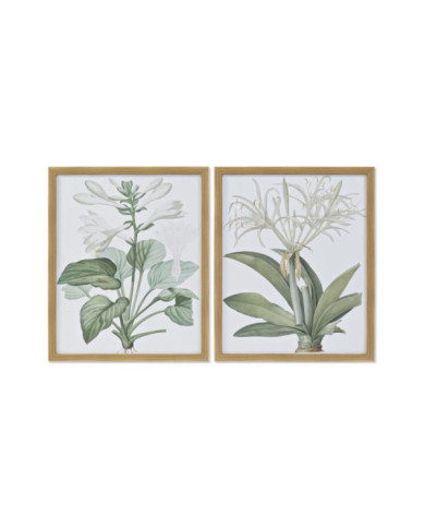 CUADRO CRISTAL PS 43X3X53 BOTANICO 2 SURT.