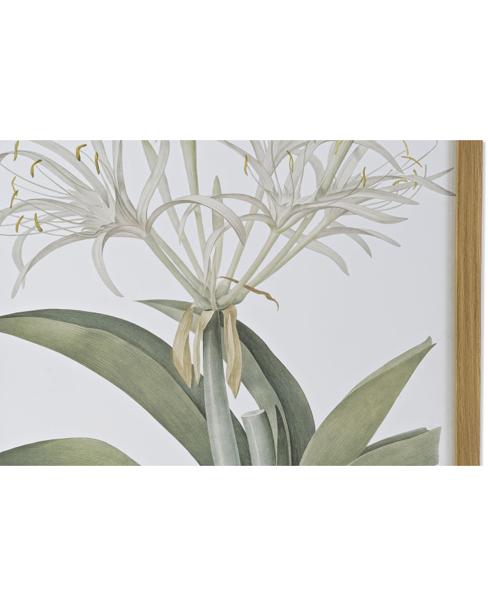CUADRO CRISTAL PS 43X3X53 BOTANICO 2 SURT.