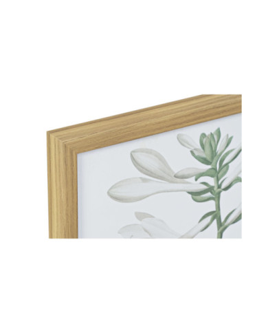 CUADRO CRISTAL PS 43X3X53 BOTANICO 2 SURT.