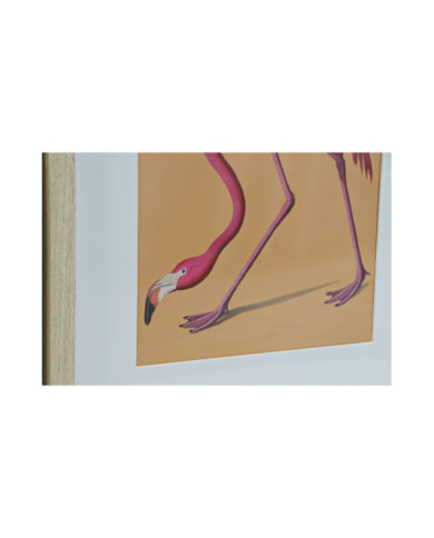 CUADRO PS 35X2X45 AVES ENMARCADO 4 SURT.