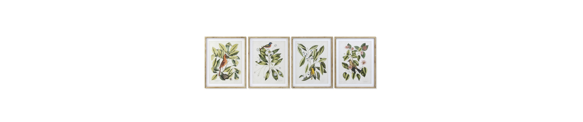 CUADRO ABETO 55X2,5X70 BOTANIC AVES 4 SURT.