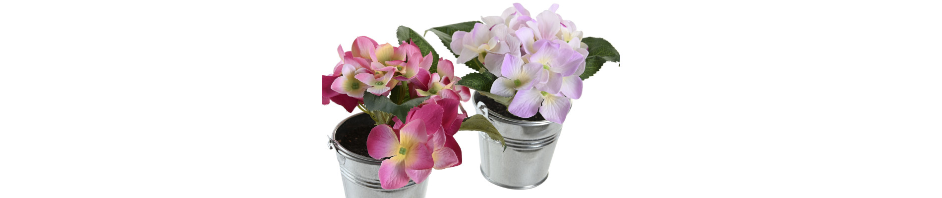 PLANTA POLIESTER PE 8X8X14 HORTENSIA 2 SURT.