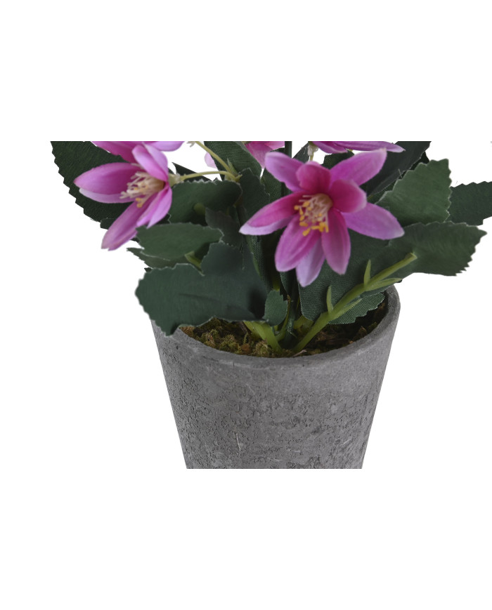 PLANTA POLIESTER PE 8X8X18 LOTUS 2 SURT.