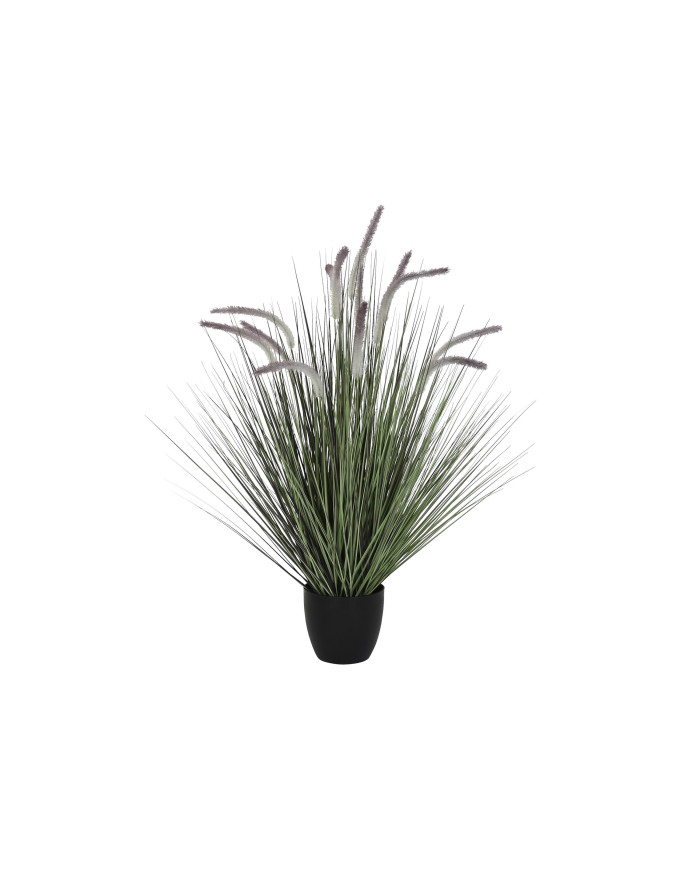 PLANTA PVC 30X30X100 COLA DE PERRO LILA