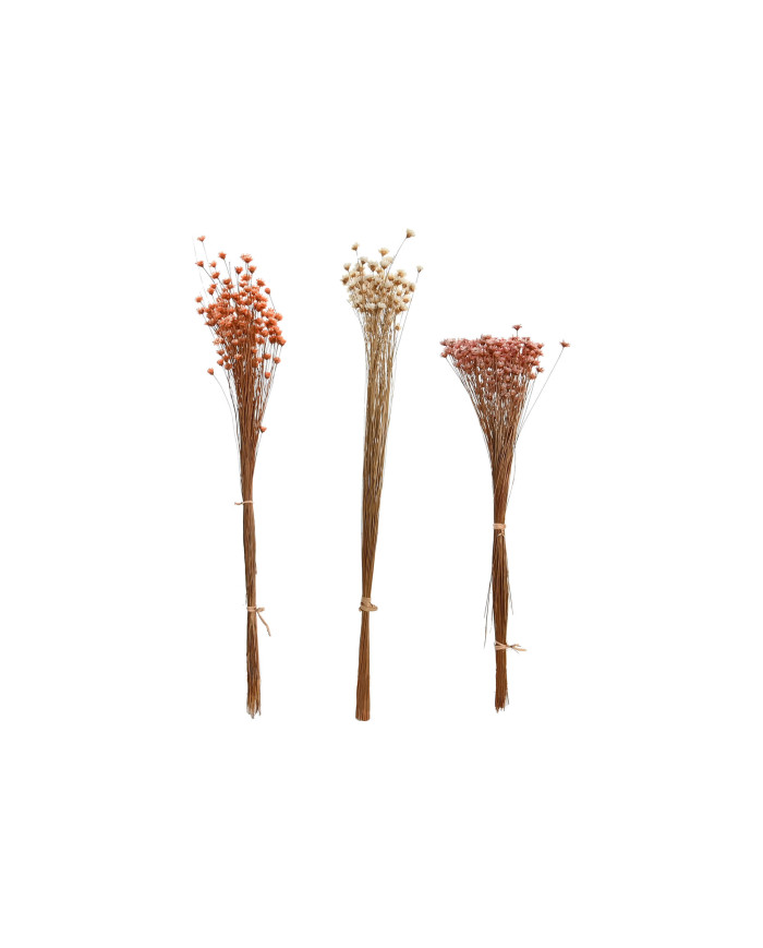 RAMO FLOR SECA 10X10X30 10GR 3 SURT.