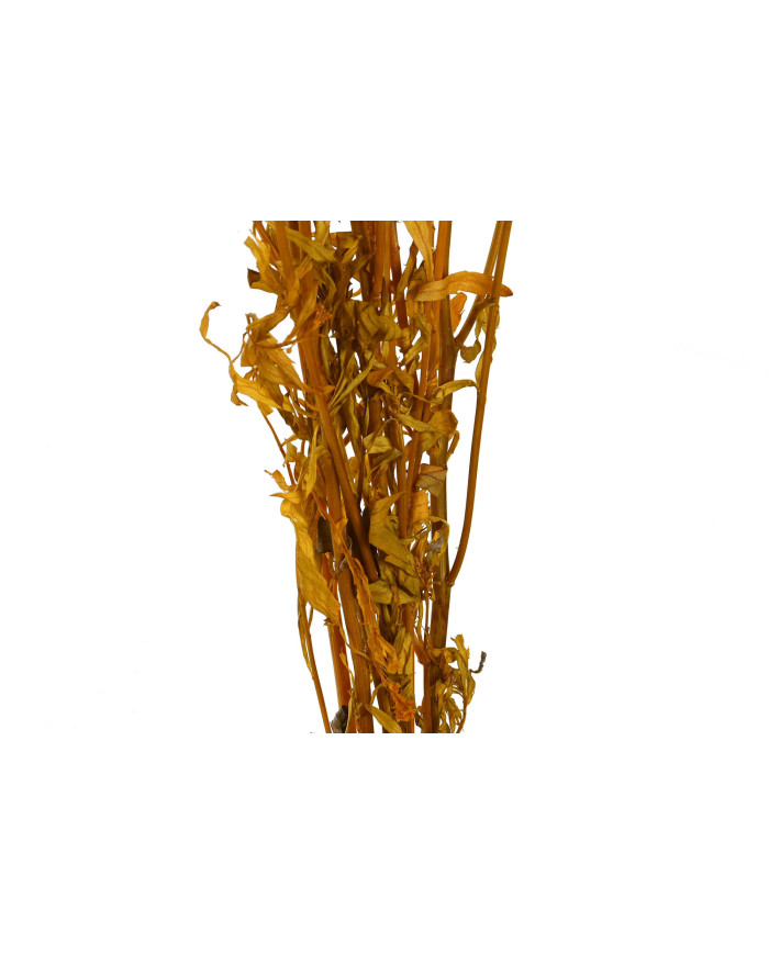 RAMO FLOR SECA 20X10X60 50GR 2 SURT.