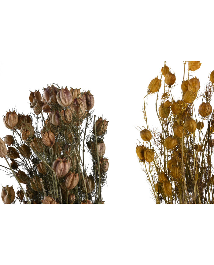 RAMO FLOR SECA 20X20X70 2 SURT.