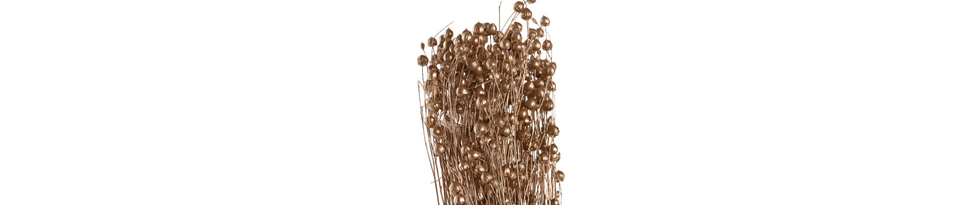 RAMO FLOR SECA 20X20X60 50G 2 SURT.